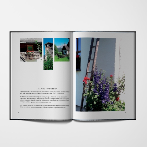 Beispiel Bildband Verein, Ortschronik, Stadtgeschichte